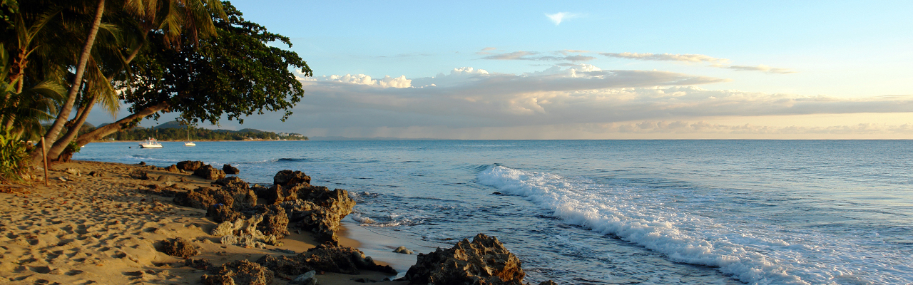 Rincon