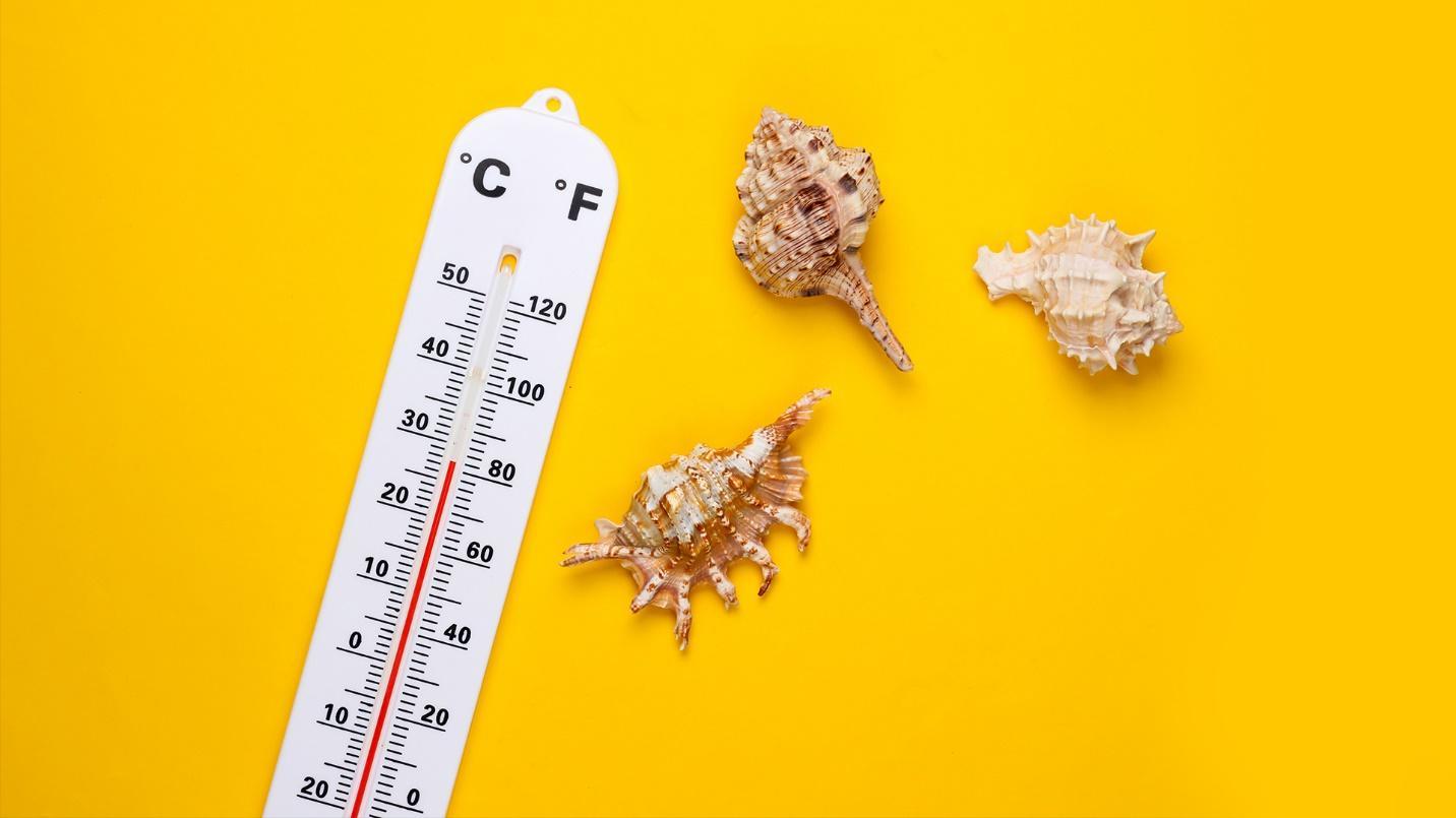 A thermometer and seashells against a yellow background in a section about Puerto Rico’s climate.