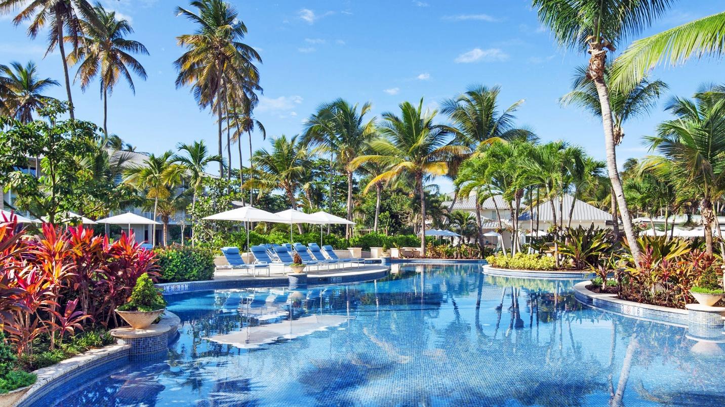 A large pool surrounded by palm trees and tropical foliage, with chairs and umbrellas at the far end.
