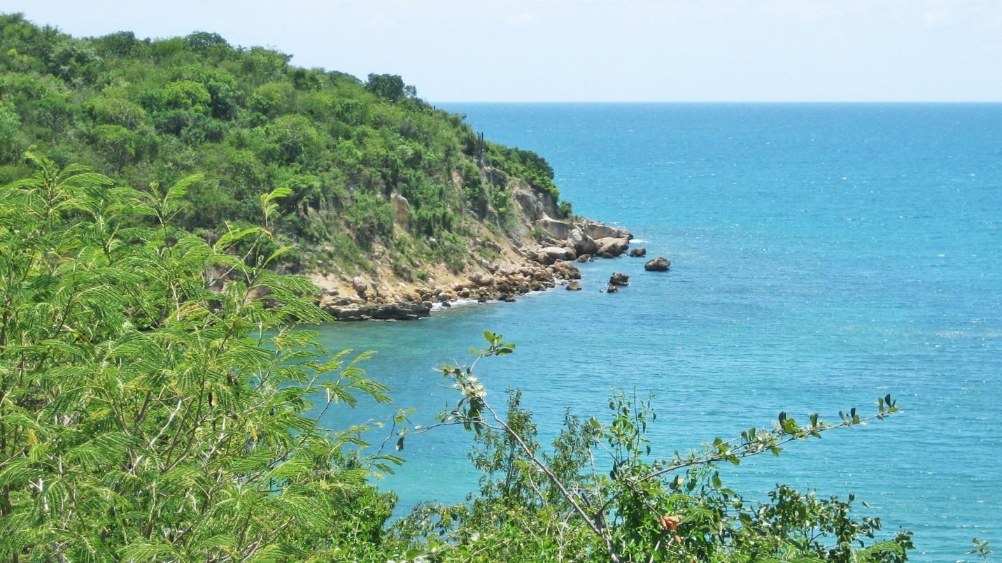 Capture amazing views of the coatline with the Ballena hiking trail.