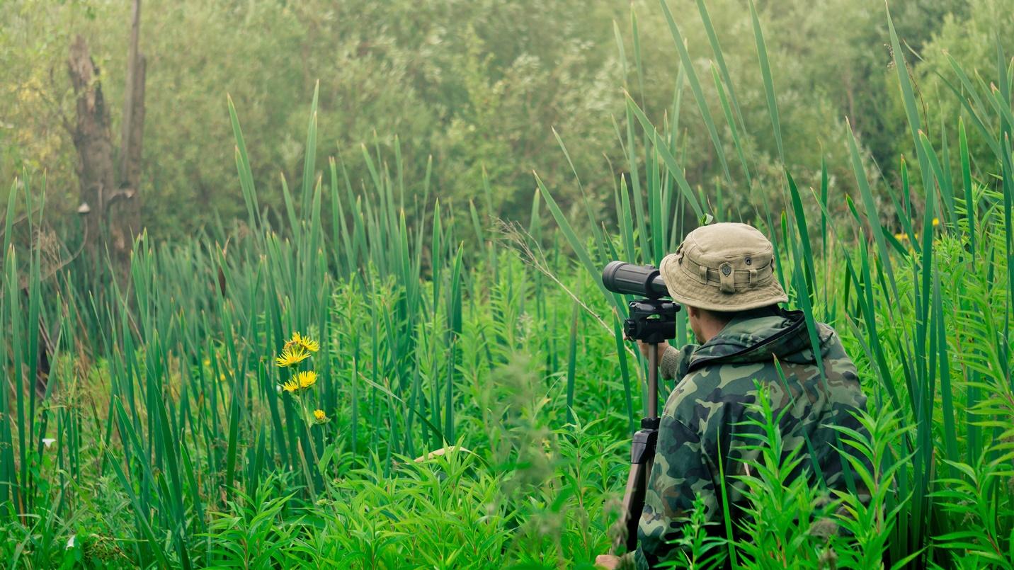 The Lluberas trail is a hub for birdwatchers and nature enthusiasts.