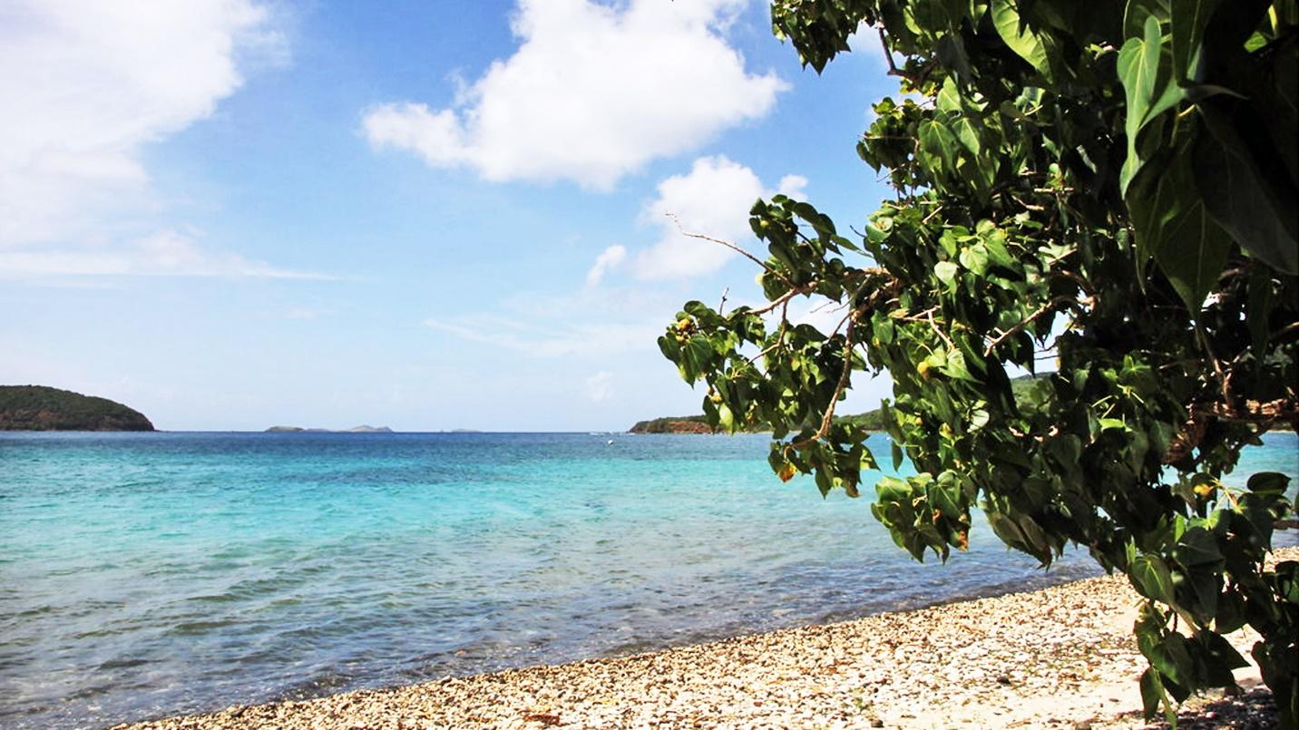 The Meseta trail is an extraordinary coastal hike starting from Tamarindo Beach.