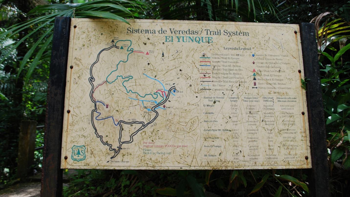 The El Yunque Trail covers all the major parts of the rainforest.