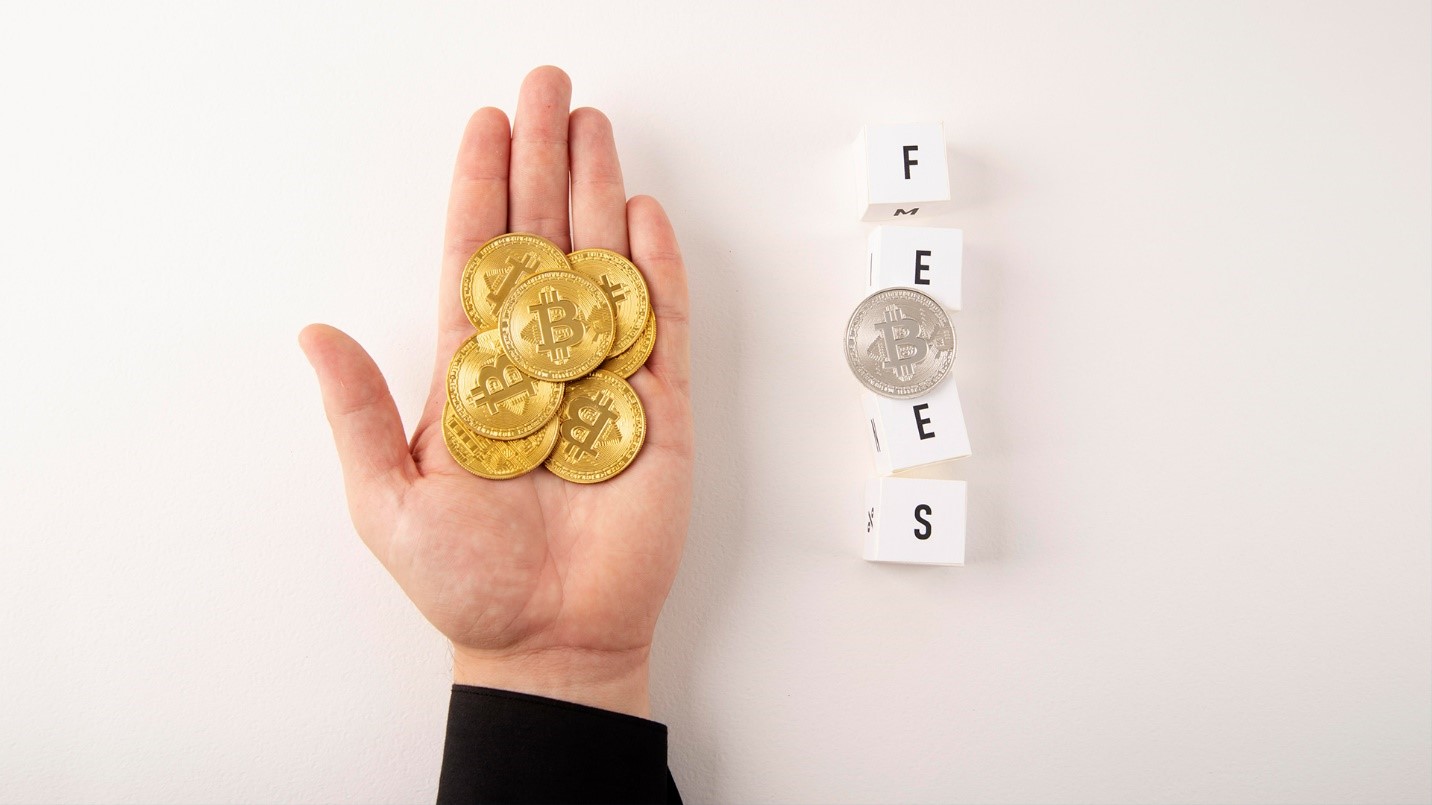 An open hand holds several golden Bitcoins next to letter blocks that spell the word “fees” in a section laying out the differences in how cryptocurrency is taxed in Puerto Rico vs. the mainland.