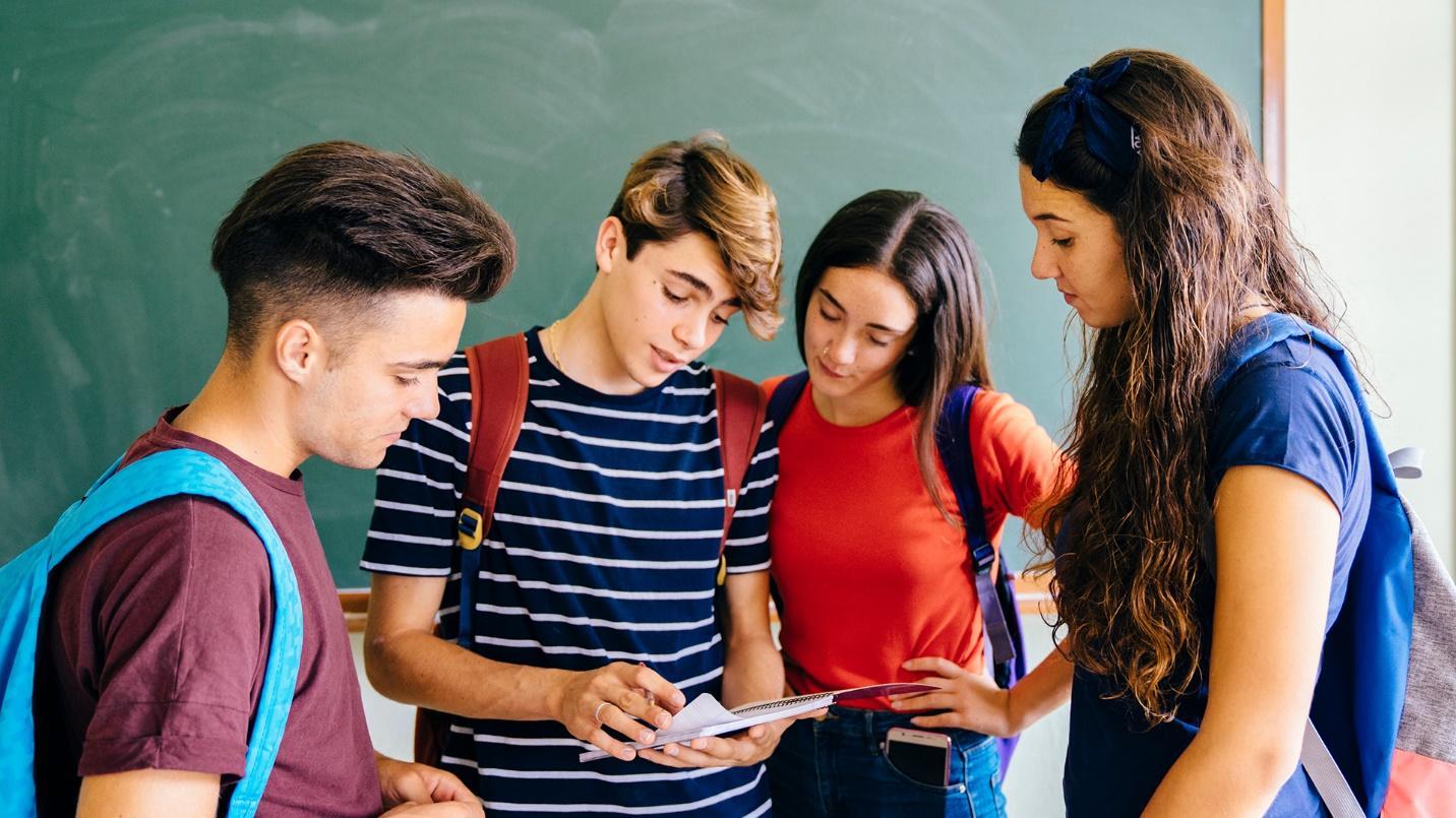 Two male and two female students look at a notebook with a chalkboard in the background in a section about private schools.