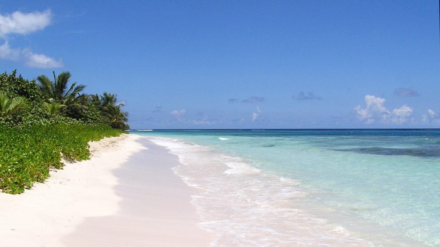 The sea, white sand, and green foliage in a section describing Flamenco Beach on Culebra island.
