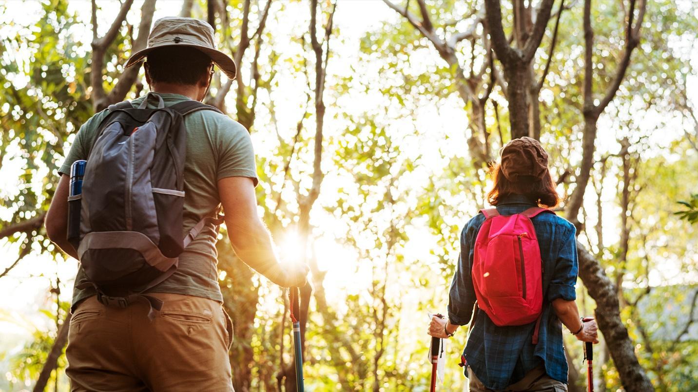 A man and woman wearing backpacks and carrying trekking poles hike through a forest illuminated by sunlight in a section about El Yunque’s Angelito Trail. 