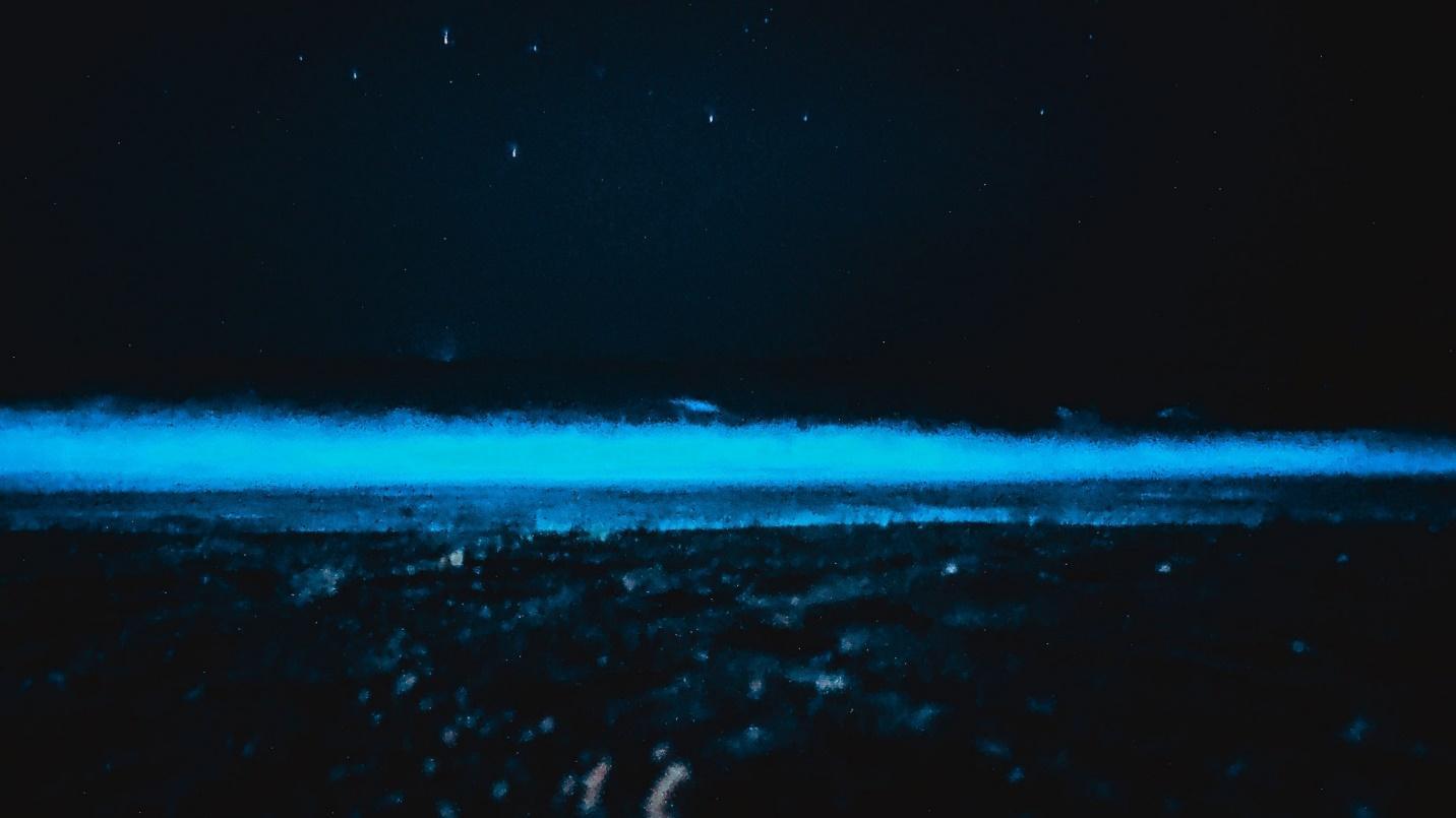 The water of a bay glowing blue at night in a section describing how to kayak through one of the bioluminescent bays in Puerto Rico. 