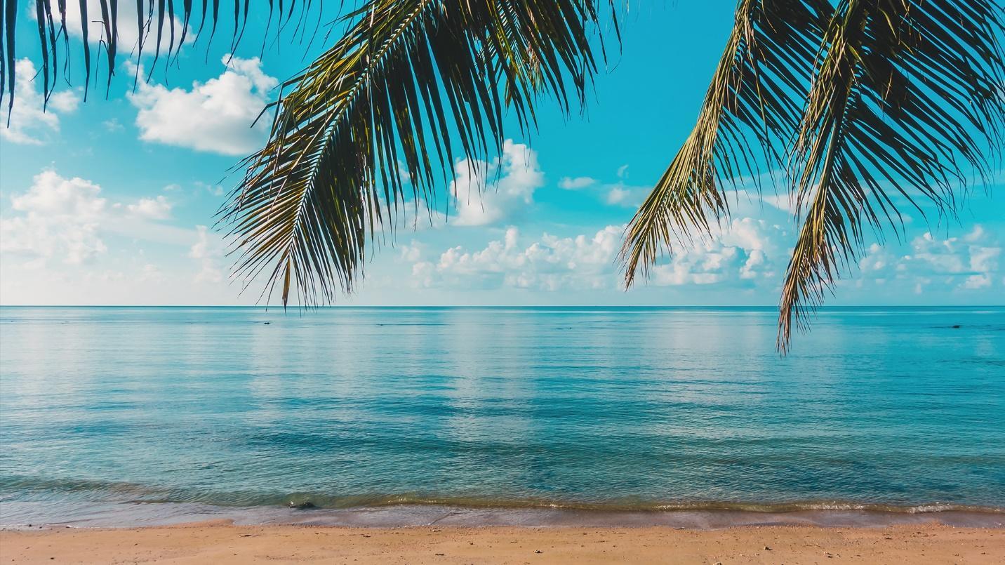 A beach beneath a blue sky and palm leaves in a section about Balneario El Escambrón, a first-rate beach in the San Juan area. 