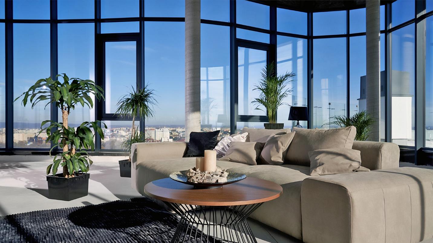 A bright and airy living room with floor-to-ceiling windows and potted plants in a section about Condado’s history.